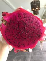 201225 02.jpg
