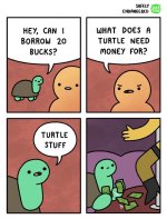 _turtlestuff.jpg