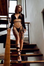 BlackCat (1).jpg
